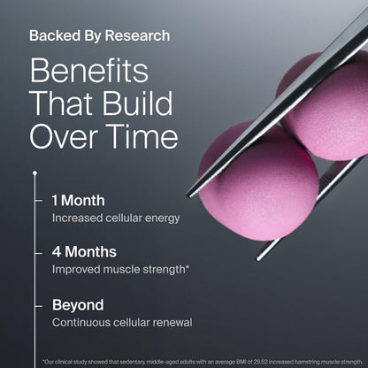 Mitopure Gummies Sugar Free